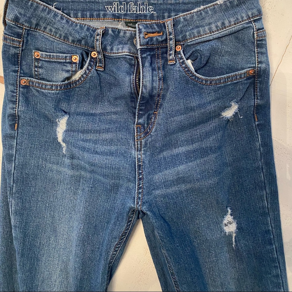 Wild fable jeans